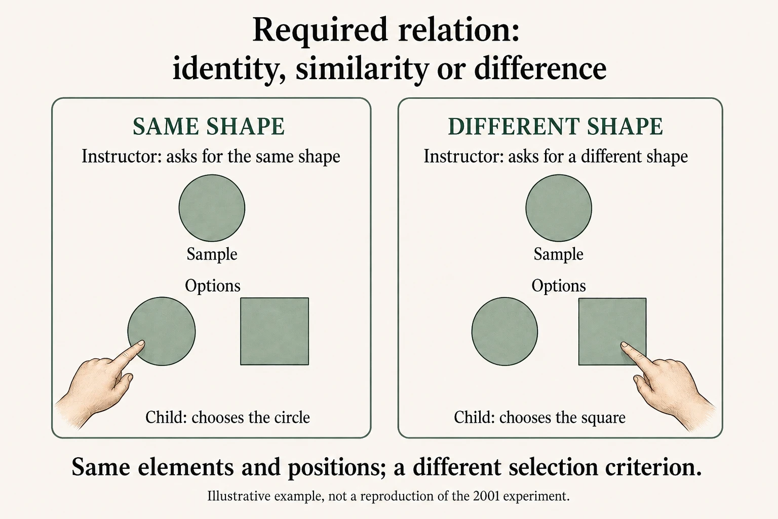 Both panels keep a circle as the sample and the same options: a circle on the left and a square on the right. When the Instructor asks for the same shape, the child chooses the circle; when asked for a different shape, the child chooses the square. The selection criterion changes, not the positions.