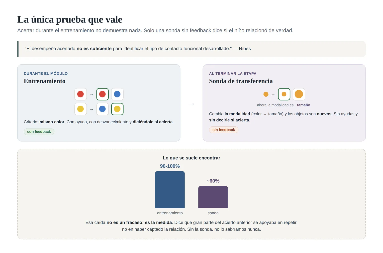 Entrenamiento con feedback frente a sonda de transferencia sin feedback, y la caída esperada
